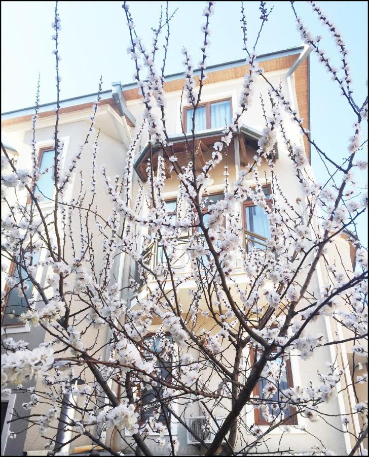 Aia Hotel Tbilisi Eksteriør bilde